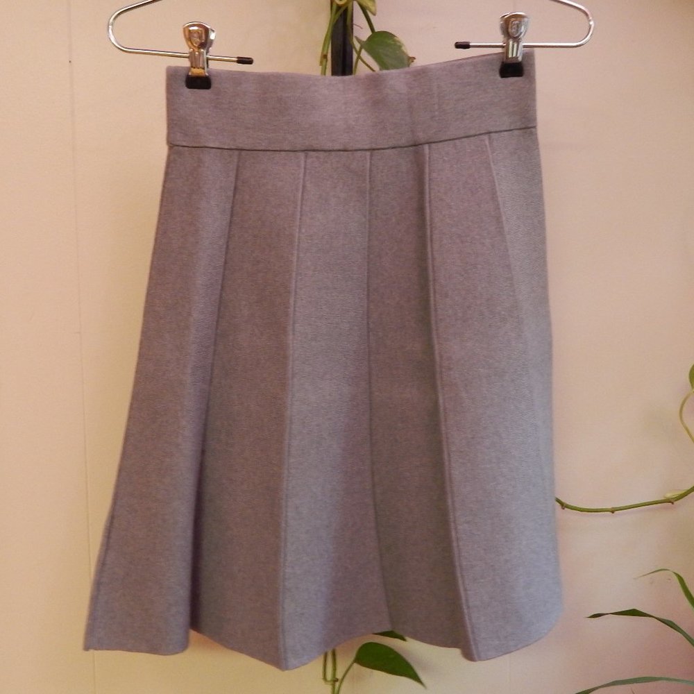 Ann Taylor Pleated Gray Skirt XXSP